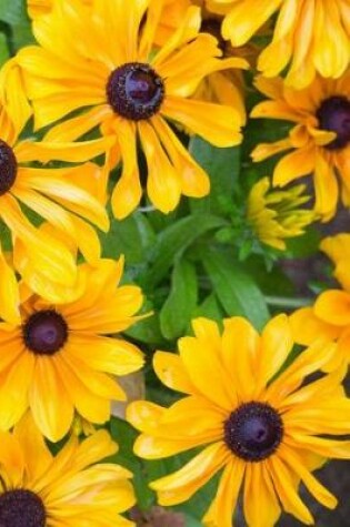 Cover of Black Eyed Susan Flower Notebook