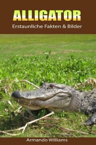 Cover of Alligator