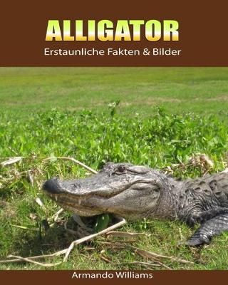 Book cover for Alligator