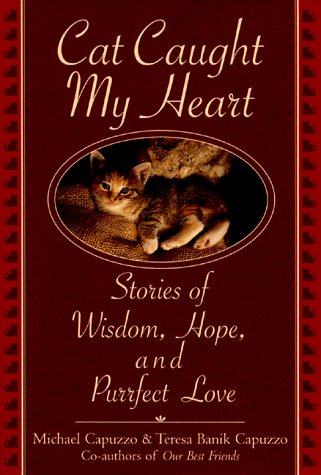 Book cover for Cat Caught My Heart