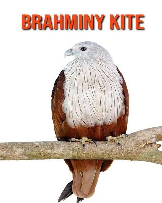 Book cover for Brahminy kite