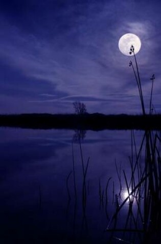 Cover of Night at the Pond with the Moon and Reeds Journal