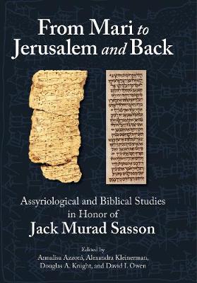 Book cover for From Mari to Jerusalem and Back