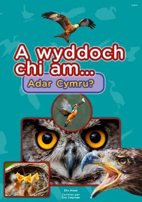 Book cover for Cyfres a Wyddoch chi: A Wyddoch Chi am Adar Cymru?