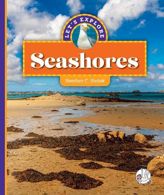 Book cover for Let's Explore Seashores