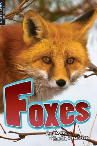 Cover of Foxes