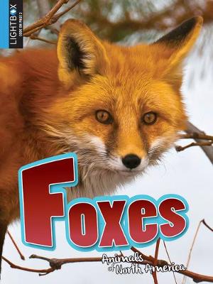 Cover of Foxes