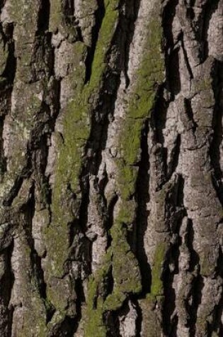 Cover of Bark on an Old Oak Tree with Green Moss Journal