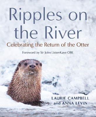 Book cover for Ripples on the River