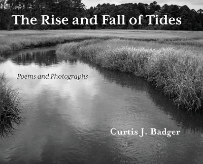 Book cover for The Rise and Fall of Tides