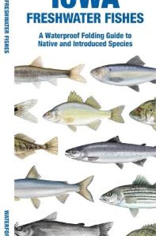 Cover of Iowa Freshwater Fishes