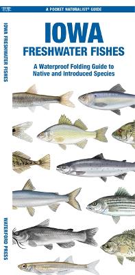 Cover of Iowa Freshwater Fishes