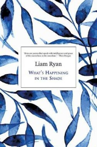 Cover of What'S Happening in the Shade