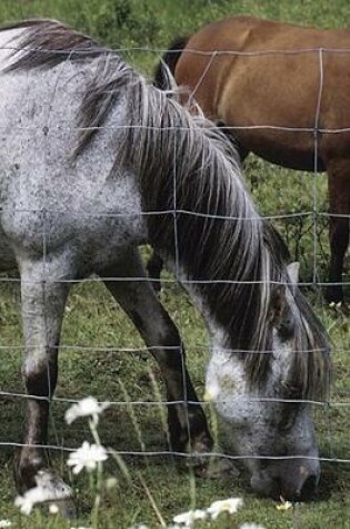 Cover of 2020 Daily Planner Horse Photo Equine Grazing Horses 388 Pages