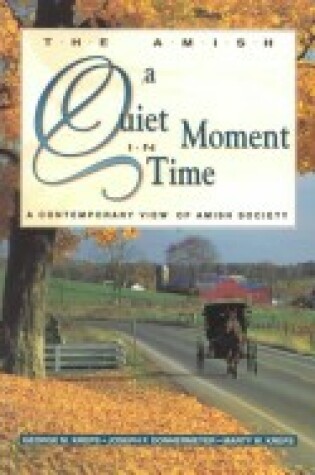 Cover of A Quiet Moment in Time