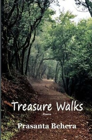 Cover of Treasure Walks