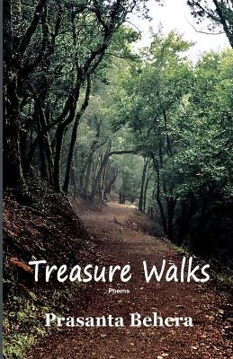 Book cover for Treasure Walks