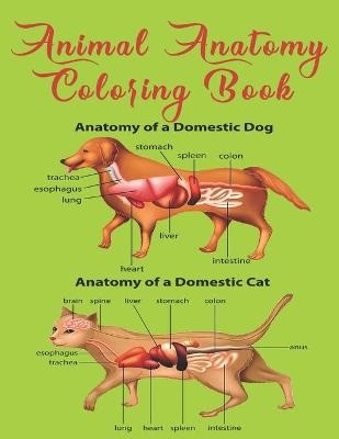 Book cover for Animal Anatomy Coloring Book