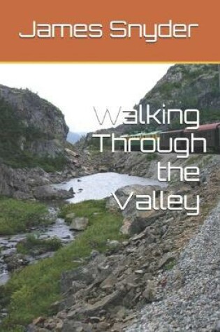 Cover of Walking Through the Valley