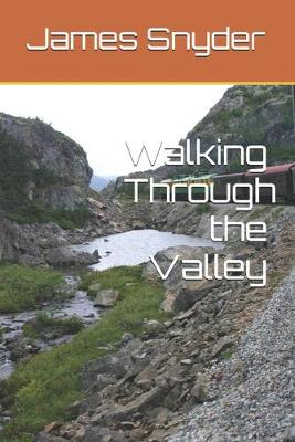 Book cover for Walking Through the Valley