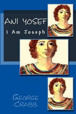 Book cover for Ani Yosef