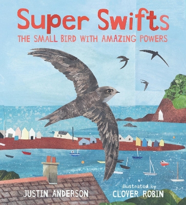 Book cover for Super Swifts: The Small Bird With Amazing Powers