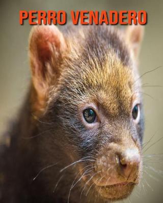 Book cover for Perro venadero