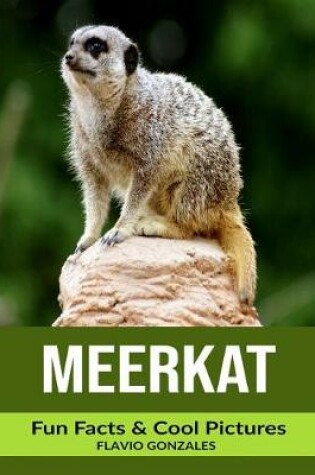 Cover of Meerkat