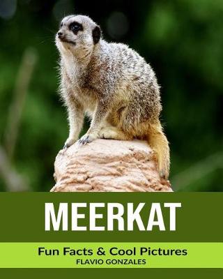 Book cover for Meerkat