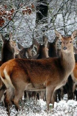 Cover of Herd of Deer on the Edge of a Meadow Journal