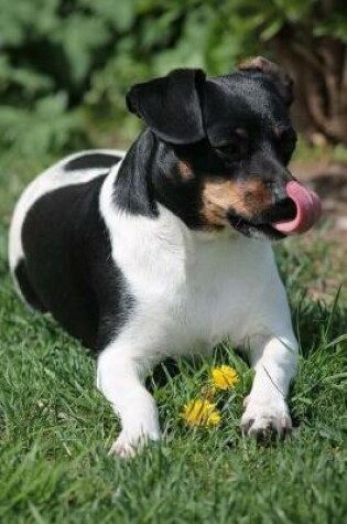 Cover of Parson Russell Terrier with Her Tongue Out Journal