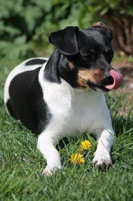 Book cover for Parson Russell Terrier with Her Tongue Out Journal