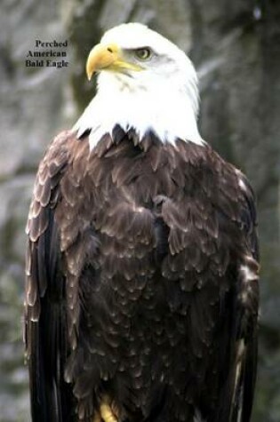 Cover of Perched American Bald Eagle