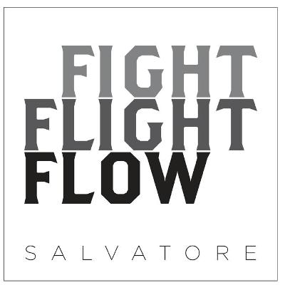 Book cover for Fight Flight Flow