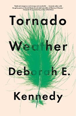 Cover of Tornado Weather