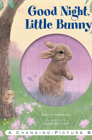 Cover of Good Night, Little Bunny