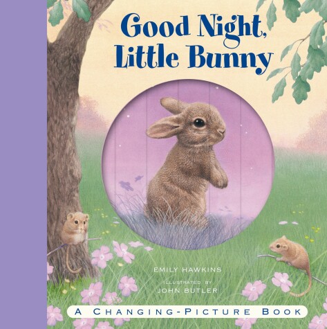 Book cover for Good Night, Little Bunny