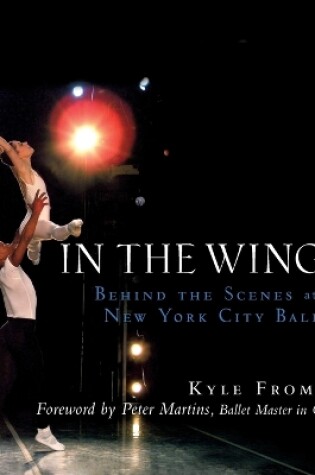 Cover of In the Wings