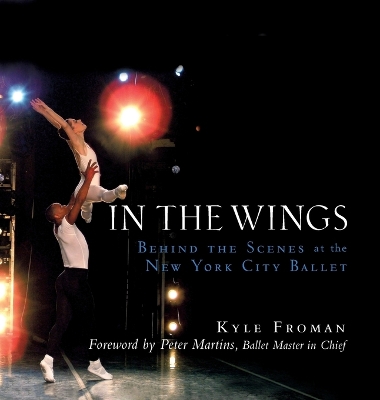 Book cover for In the Wings