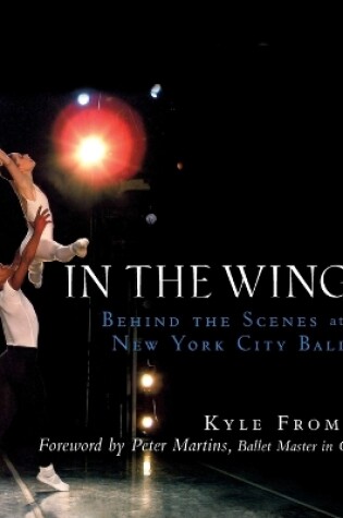 Cover of In the Wings