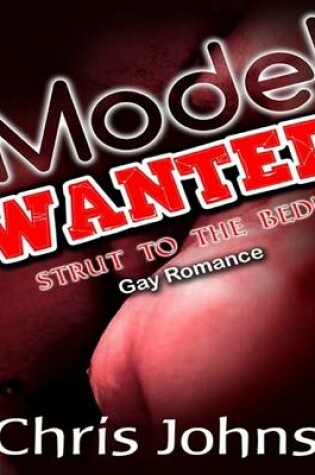 Cover of Model Wanted