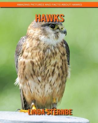 Book cover for Hawks