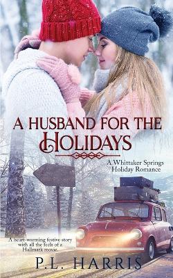 Book cover for A Husband for the Holidays