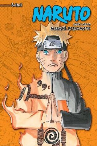 Cover of Naruto (3-in-1 Edition), Vol. 20