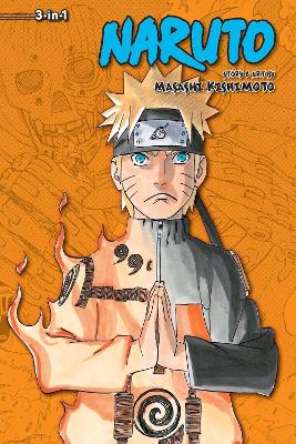 Cover of Naruto (3-in-1 Edition), Vol. 20