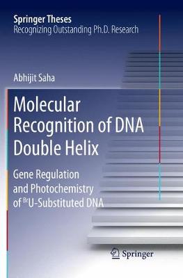 Book cover for Molecular Recognition of DNA Double Helix