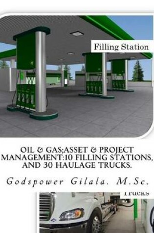 Cover of Oil & Gas;asset & Project Management