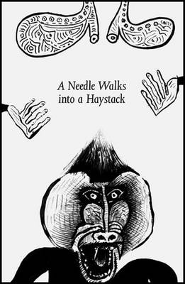 Book cover for A Needle Walks into a Haystack. Liverpool Biennial 2014