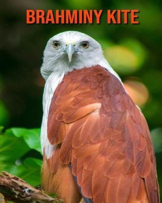 Book cover for Brahminy kite