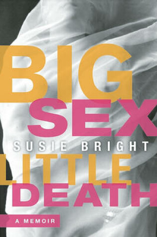 Cover of Big Sex Little Death